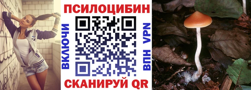 Псилоцибиновые грибы Cubensis  Таштагол 